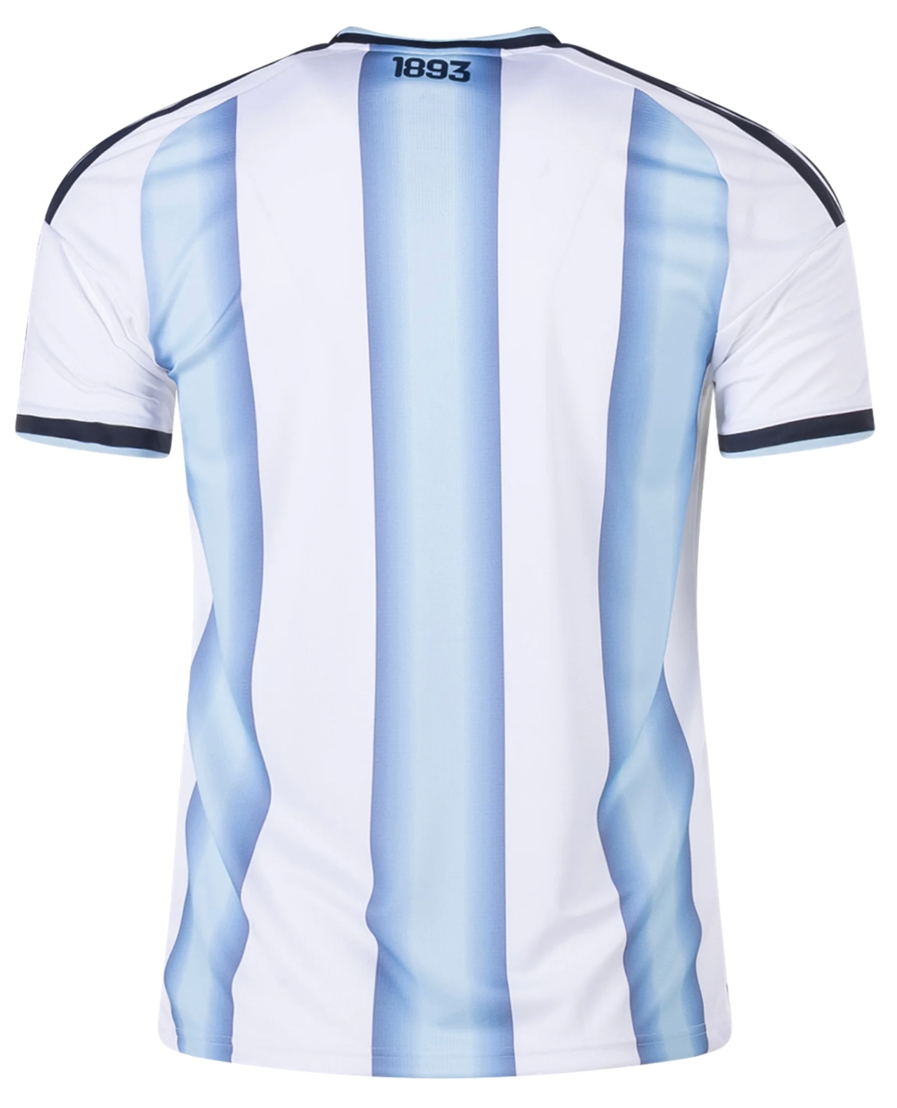 Argentina Home 24/25 Jersey Player Version