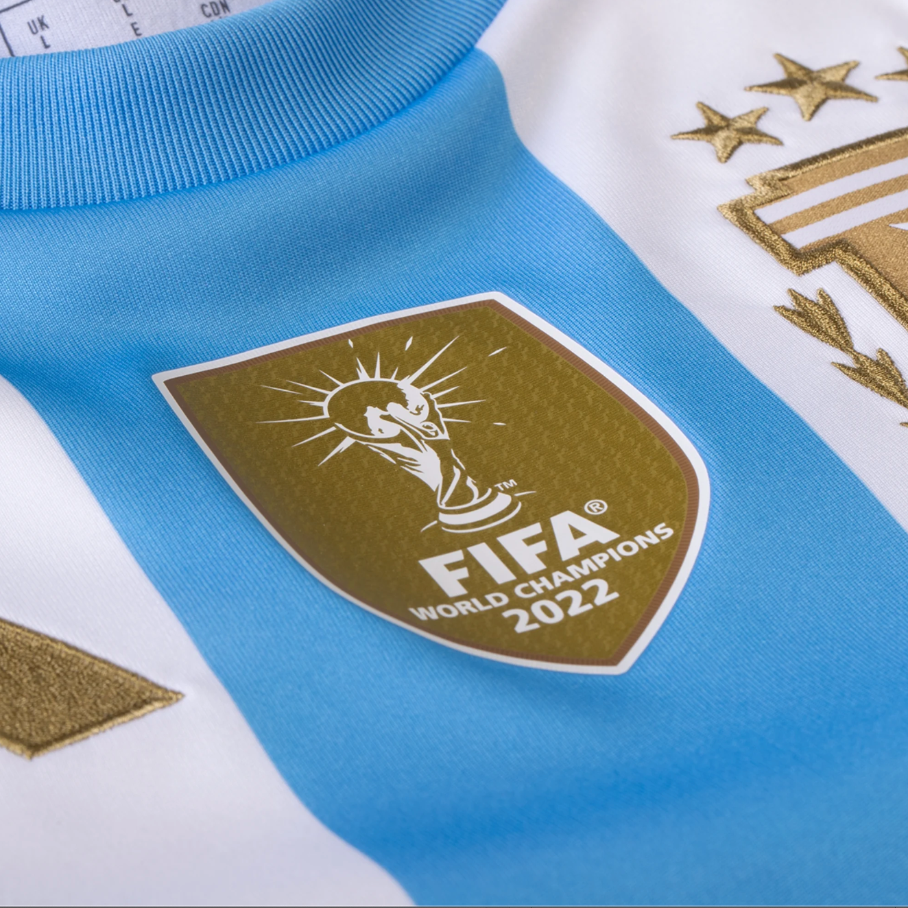 Argentina Home 24/25 Jersey Player Version