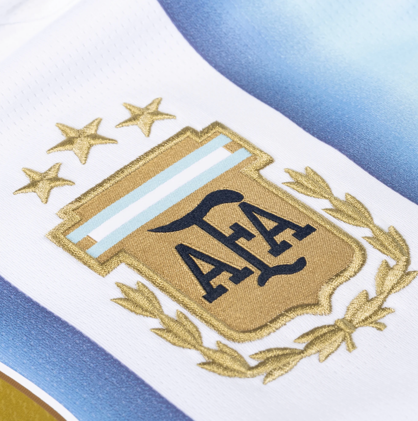 Argentina Home 24/25 Jersey Player Version
