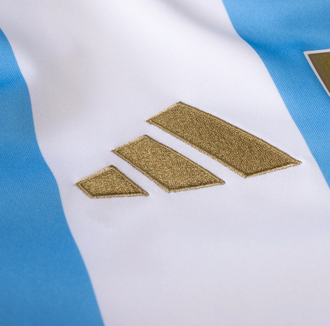 Argentina Home 24/25 Jersey Player Version