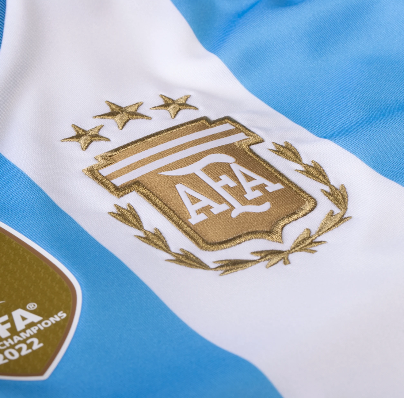 Argentina Home 24/25 Jersey Player Version