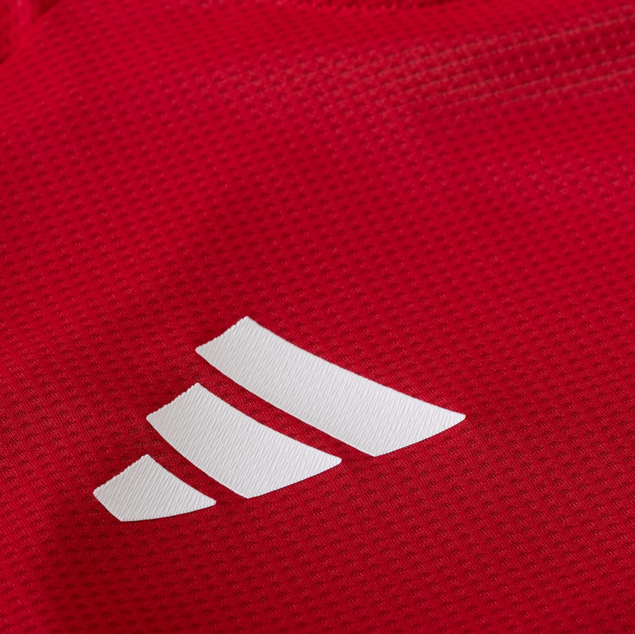 Manchester United Home 24/25 Jersey Player Version