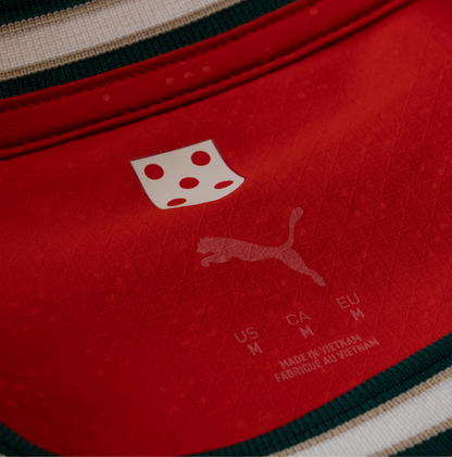 Portugal Home 24/25 Jersey